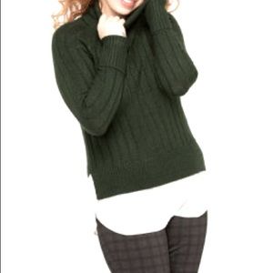 CLEO GREEN TURTLENECK FOOLER SWEATER